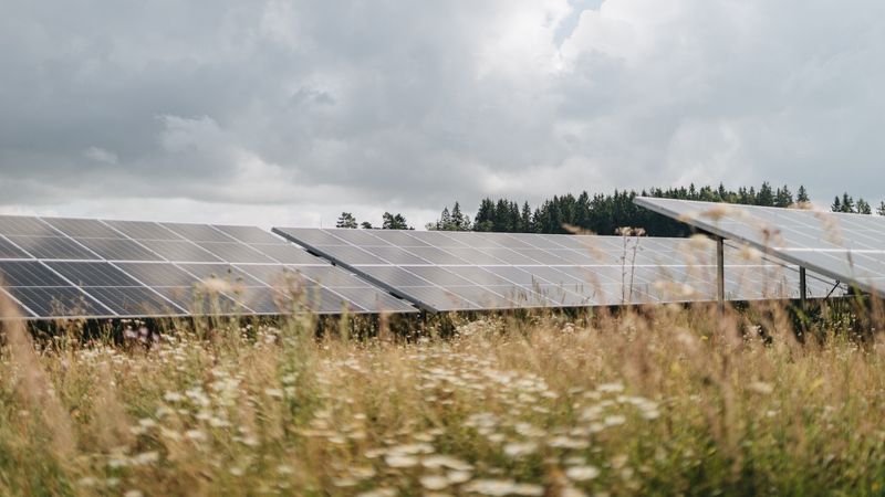 Ignitis Renewables investējusi 50 miljonus eiro saules parkā Stelpe-1