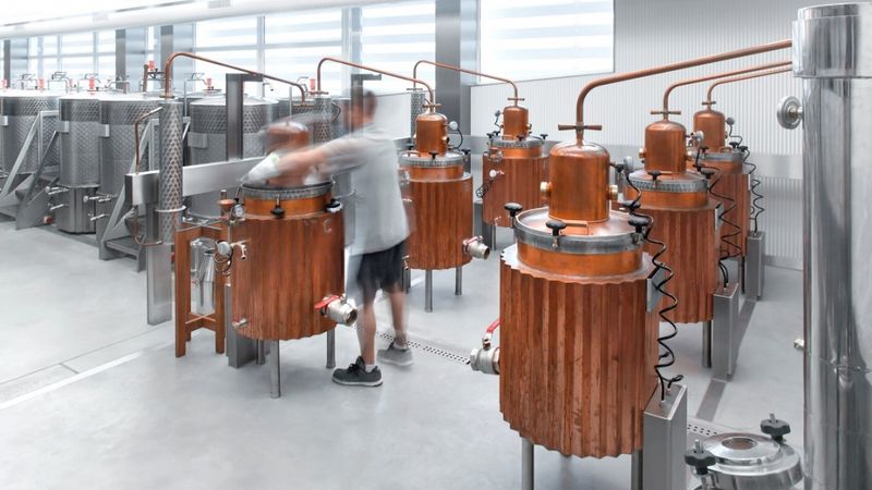 FOTO: Kandžas ražotnē Mežaparkā investē 1,5 miljonus eiro
