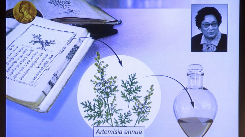 Nobela prēmija medicīnā piešķirta par parazītu izraisītu infekciju un malārijas ārstēšanu
