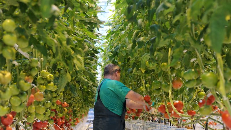 EM: Minimālās algas pieaugums par 15 eiro nekaitētu tautsaimniecībai, tomēr efektīvāk būtu celt neapliekamo minimumu