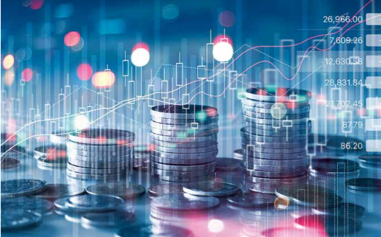 Kapitāla tirgus čempioni – vietēja kapitāla finanšu pakalpojumu sniedzēji