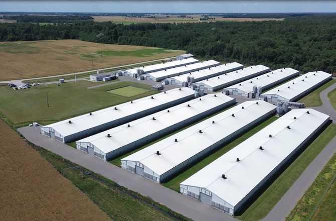 Infortar kļūs par lielāko piena ražotāju Baltijā