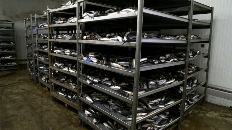 Karavela šogad plāno ieguldīt 2 miljonus eiro noliktavu rekonstrukcijā