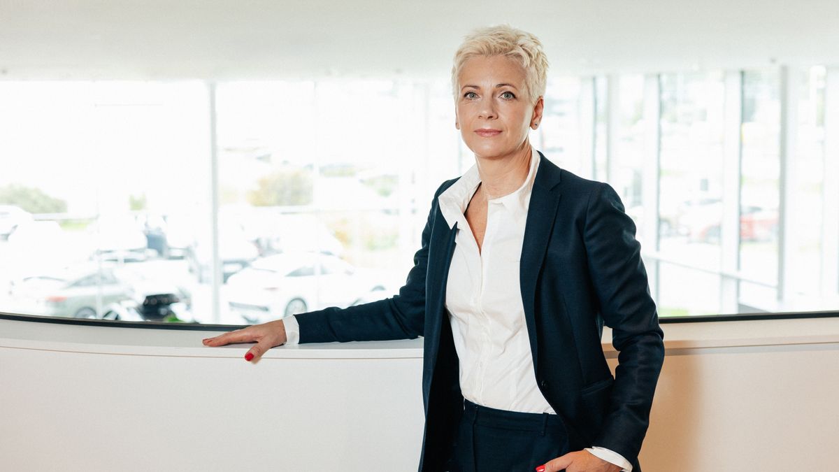 Møller Baltic Import apgrozījums audzis par 40 %
