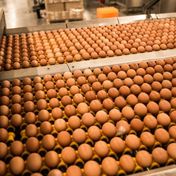 Balticovo Lietuvā plāno ieguldīt 180 miljonus eiro mājputnu kompleksā