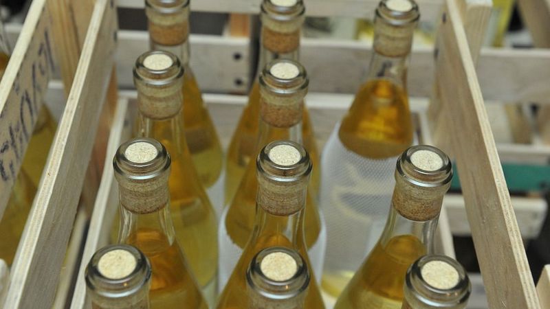 Latvijas sidrdari izstrādājuši tūrisma piedāvājumu