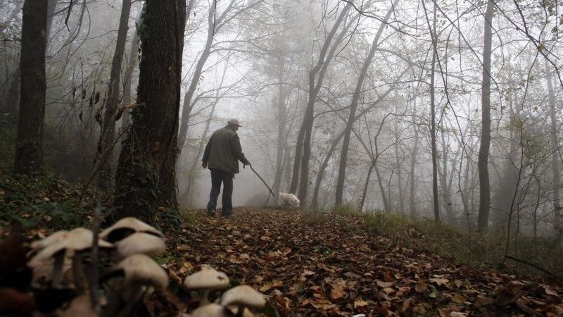 Meklējot «balto zeltu» Itālijā