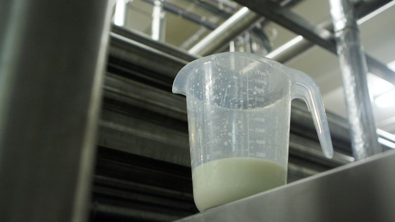 Mālpils piensaimnieks Krievijas embargo dēļ produkcijas cenas šogad samazina par 20-30%