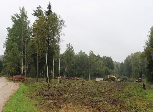 Katlumājas būvlaukuma vietā pagaidām tikai cirsma