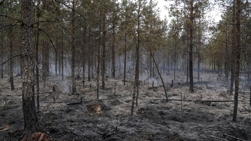 Valdgales ugunsgrēka vietā notiek gan gruzdēšana, gan degšana ar atklātu liesmu