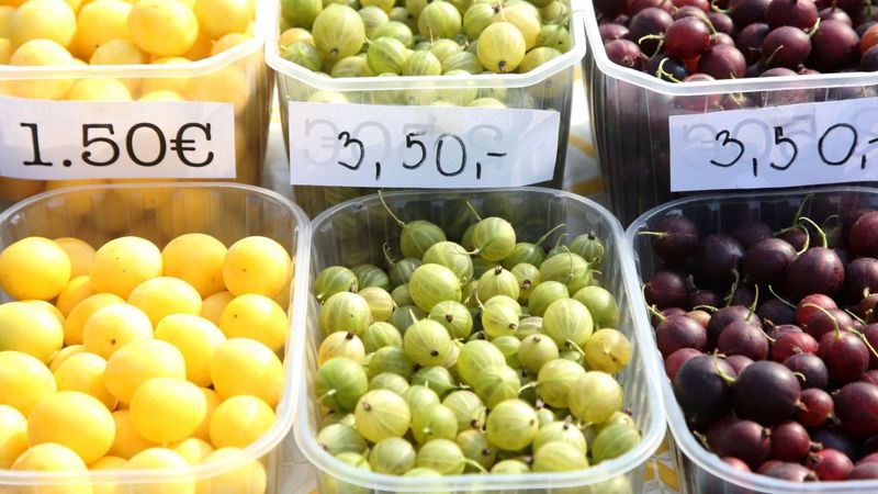 Jūlijā Latvijā atgriežas inflācija