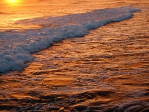 Foto: freeimages.com