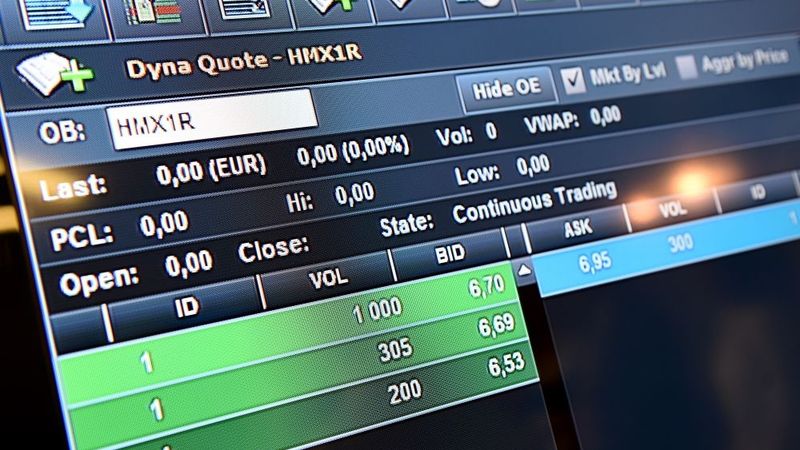 HansaMatrix dividendēs no pagājušā gada peļņas plāno maksāt 0,03 eiro par akciju