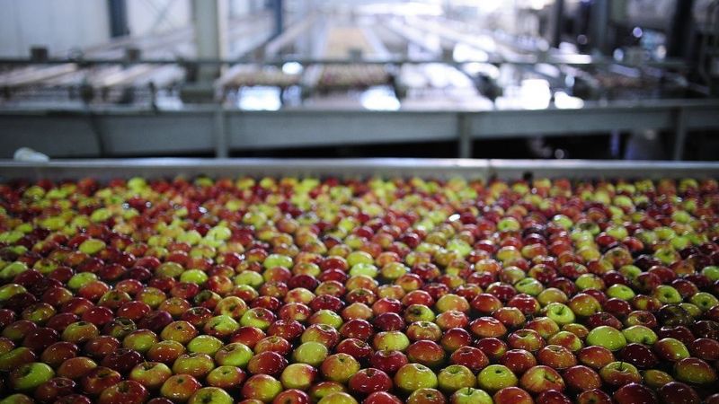 Eiropas Komisija augļu un dārzeņu ražotāju atbalstam piešķirs 125 miljonus eiro