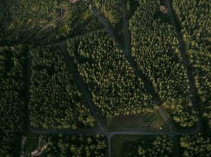 Merko mājas portfelim pievienojas jauns projekts – zemesgabalu ciemats Pierīgā