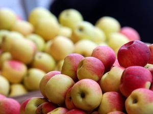 Gada beigās vai nākamā gada sākumā varētu pieaugt ābolu cena
