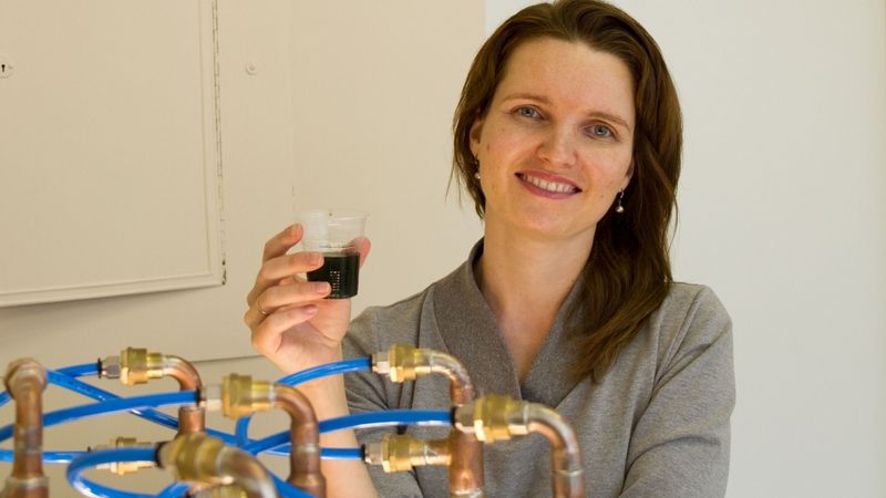 RTU zinātnieku radītais superēdiens spirulīna nonāk tirdzniecībā