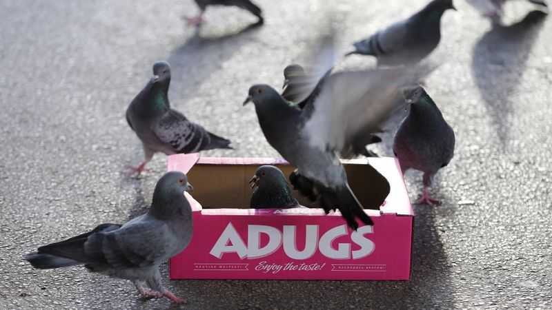 Adugs Production nācies pirms termiņa atdot kredītus