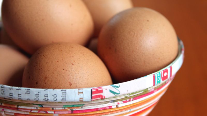 Papildināta - Latvijā ražotās olās skandināvi atklāj salmonellu