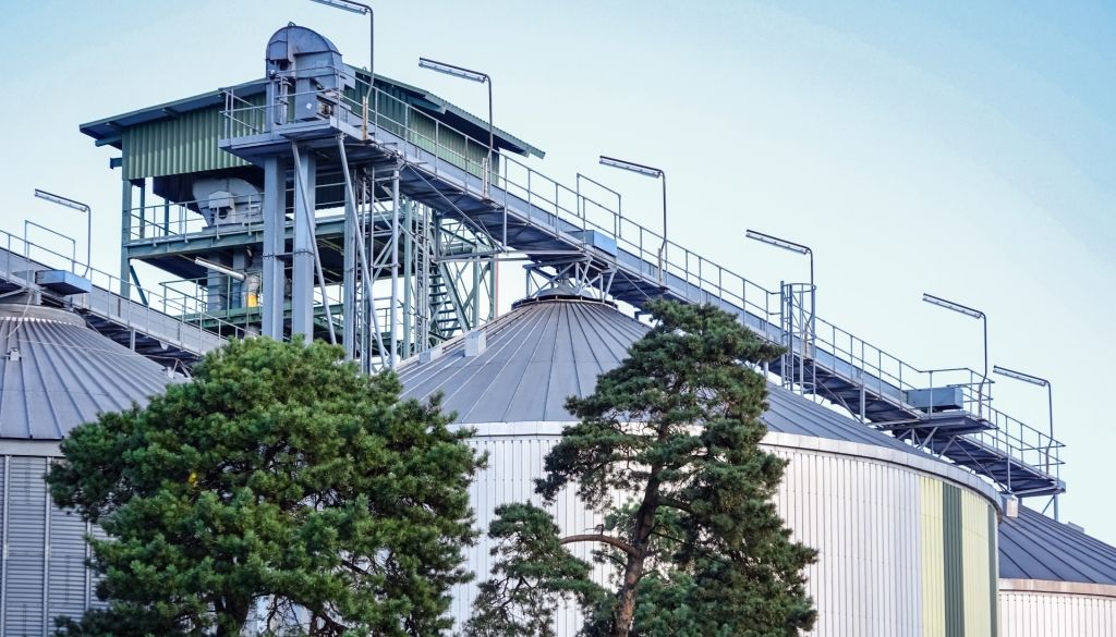 Bio-Venta plāno dubultot rapšu sēklu pārstrādes jaudas