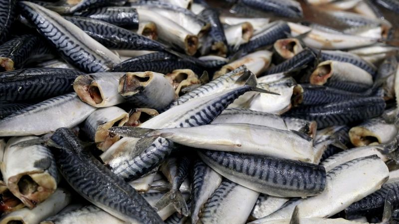 Karavela apgrozījuma pieaugumu šogad veicinās cenu kāpums konserviem