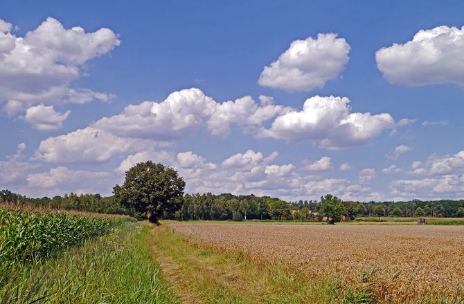Kompensāciju lieta prasīs resursus