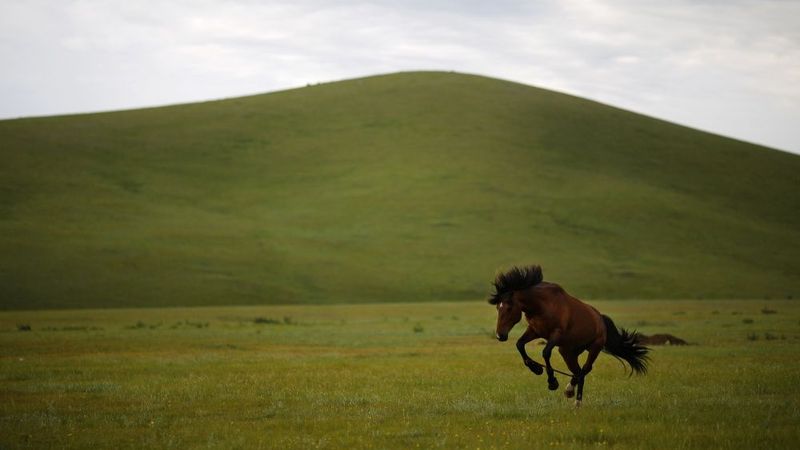 Mongolija dod zaļo gaismu dzelzceļa līnijai uz Krieviju