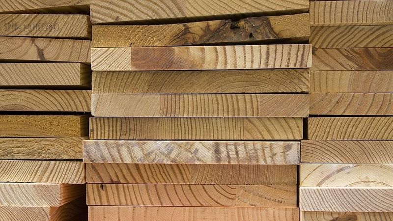 Pata: Šogad situācija kokrūpniecības nozarē līdzinās situācijai pērn