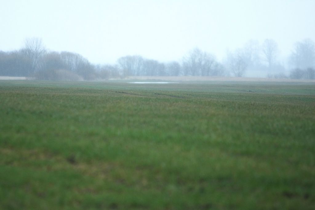 Foto: Edijs Pālens/LETA