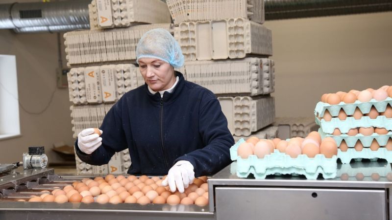 Izsludina iepirkumu 2,2 miljonus vērtās fermas būvniecībai