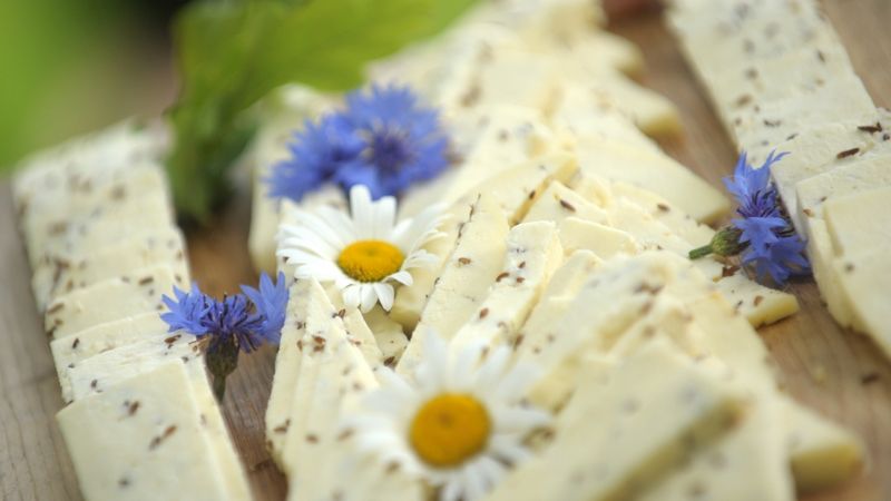 Pircējiem trūkst izpratnes par Jāņu sieru kā ES aizsargājamo produktu