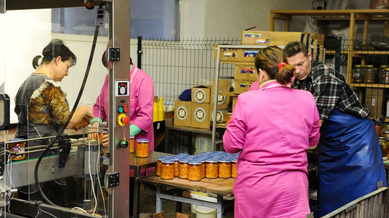 No 600 darba devējiem Bauskā un novadā 90% - mikrouzņēmumi