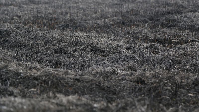 Dzēsts šā gada pirmais kūlas ugunsgrēks