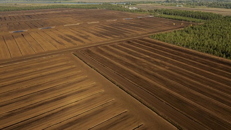 Laflora sagaida 2024. gada noslēgumu ar labākajiem darbības rezultātiem uzņēmuma vēsturē
