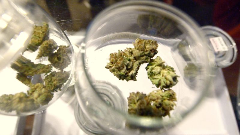Kaimiņu štati sūdz tiesā Kolorādo par marihuānas legalizācijas sekām
