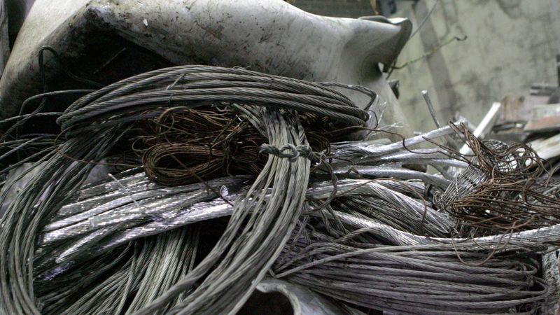 VEF valdes locekle Tamāra Kampāne iegādājusies papildu 0,15% kompānijas akciju