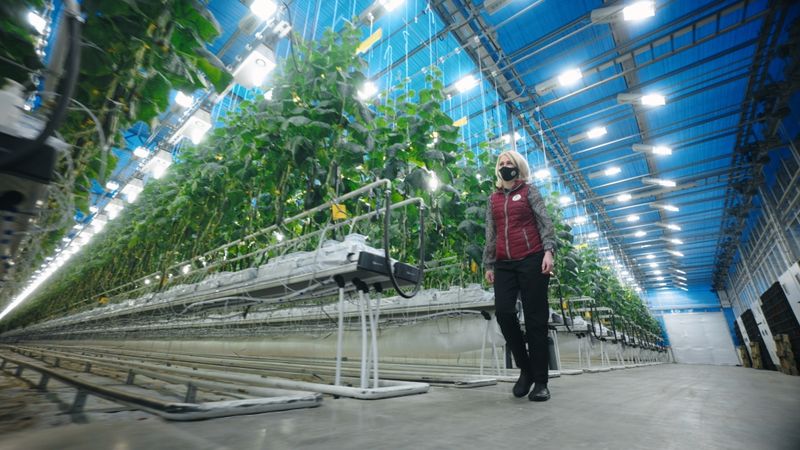 Mārupes Siltumnīcas īstenos pandēmijā atliktās investīcijas