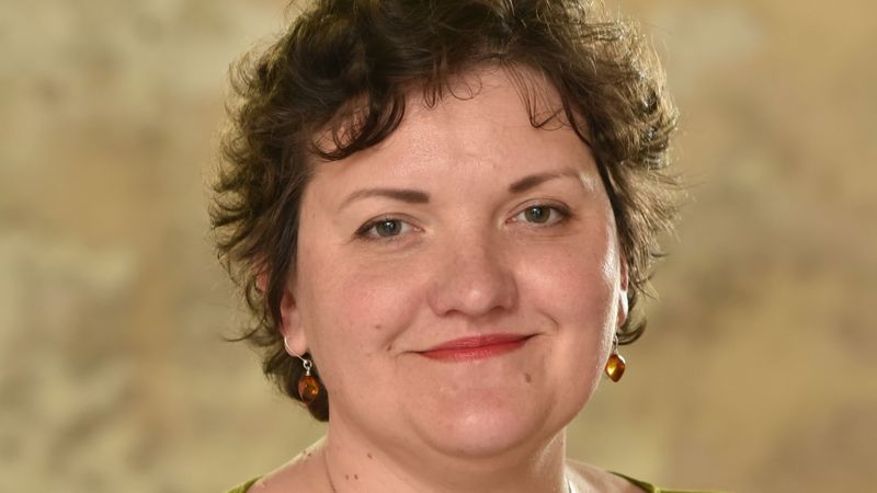 Redakcijas komentārs: Kurš stiprāks – Satversme vai Veidenbaums?