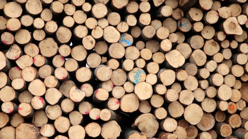 Publisko ēku iepirkumos jāparedz obligāta koksnes būvmateriālu izmantošana