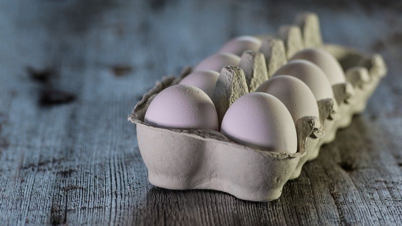 Aptur lokālplānojumu zemei Ogres novadā, kur apsver Gallusman olu produktu ražotnes izveidi