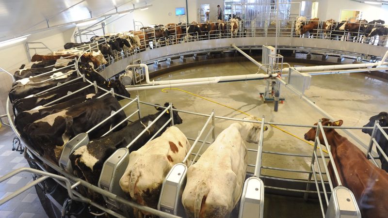 Atklāj daļu no 22 miljonus eiro vērtā ražošanas tehnoloģiskā kompleksa