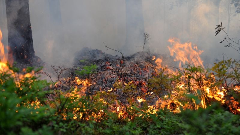 Ugunsdzēsēji patlaban visā Latvijā dzēš teju 30 ugunsgrēkus
