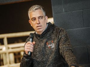 Gaļas liellopu audzētāji: bez kontroles mehānismiem Mercosur līguma ratifikācija ir priekšlaicīga