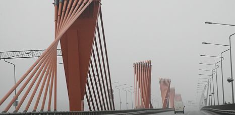 Vitālijs Stīpnieks, Dienas Mediji