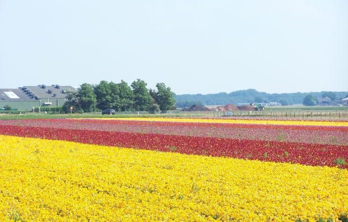 Pasaules valstis, kurās dzīvo visvairāk miljonāru