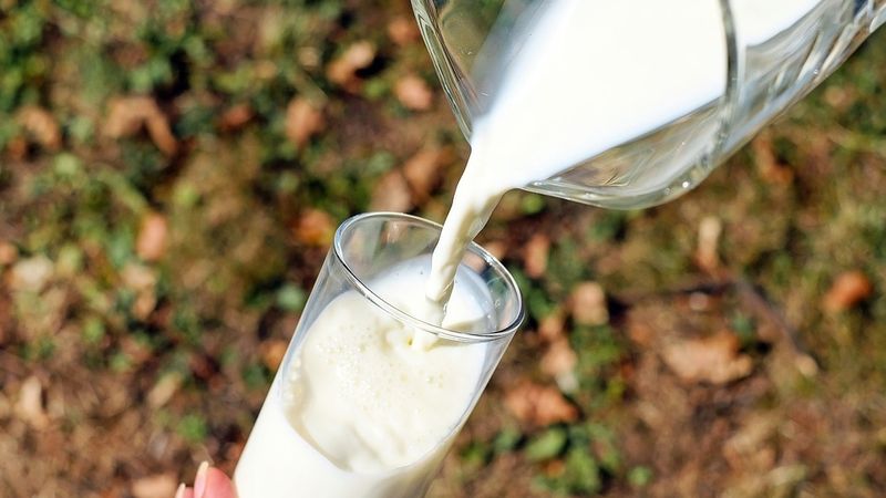 Jaunā piena pārstrādes rūpnīca Igaunijā saasinās konkurenci, bet ieiešana tirgū nebūs viegla