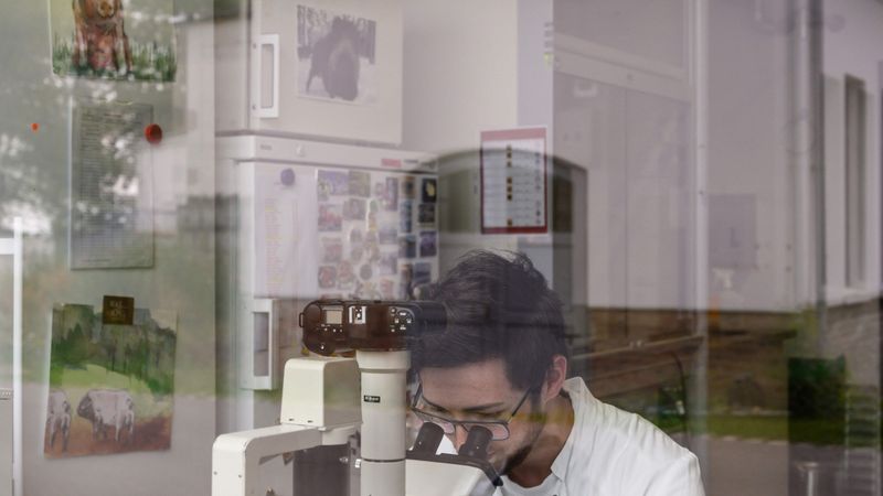 Vācija ar 3,6 miljardiem eiro atbalstīs bioekonomikas attīstību