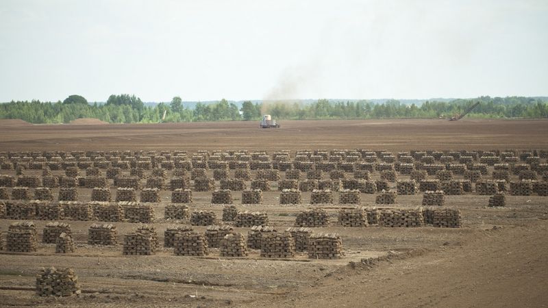 Laflorai rekordgads un 170 miljonus eiro lieli investīciju plāni