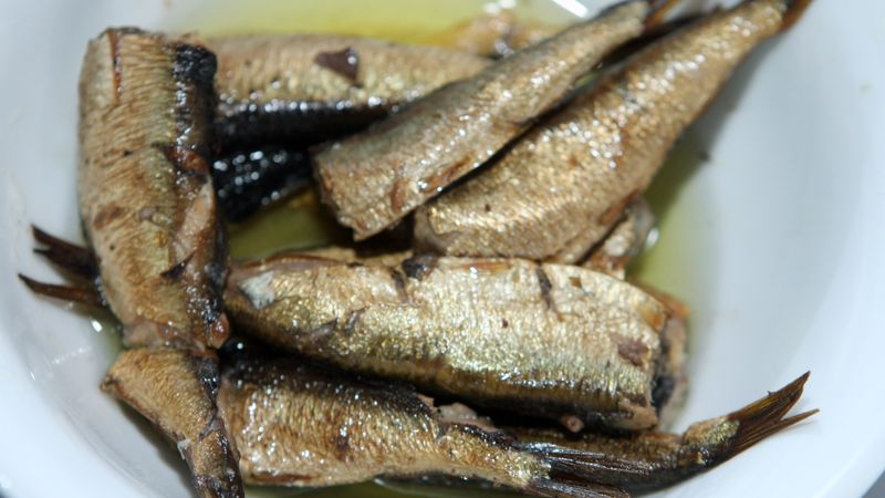 Zivrūpnieku pārstāvis: nav nekāda šprotu kara
