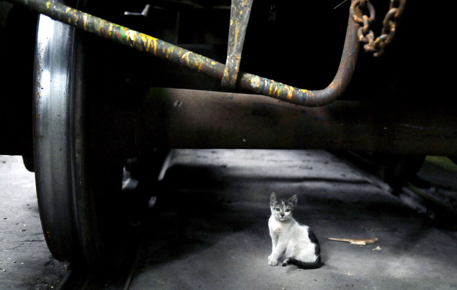 Foto: LETA